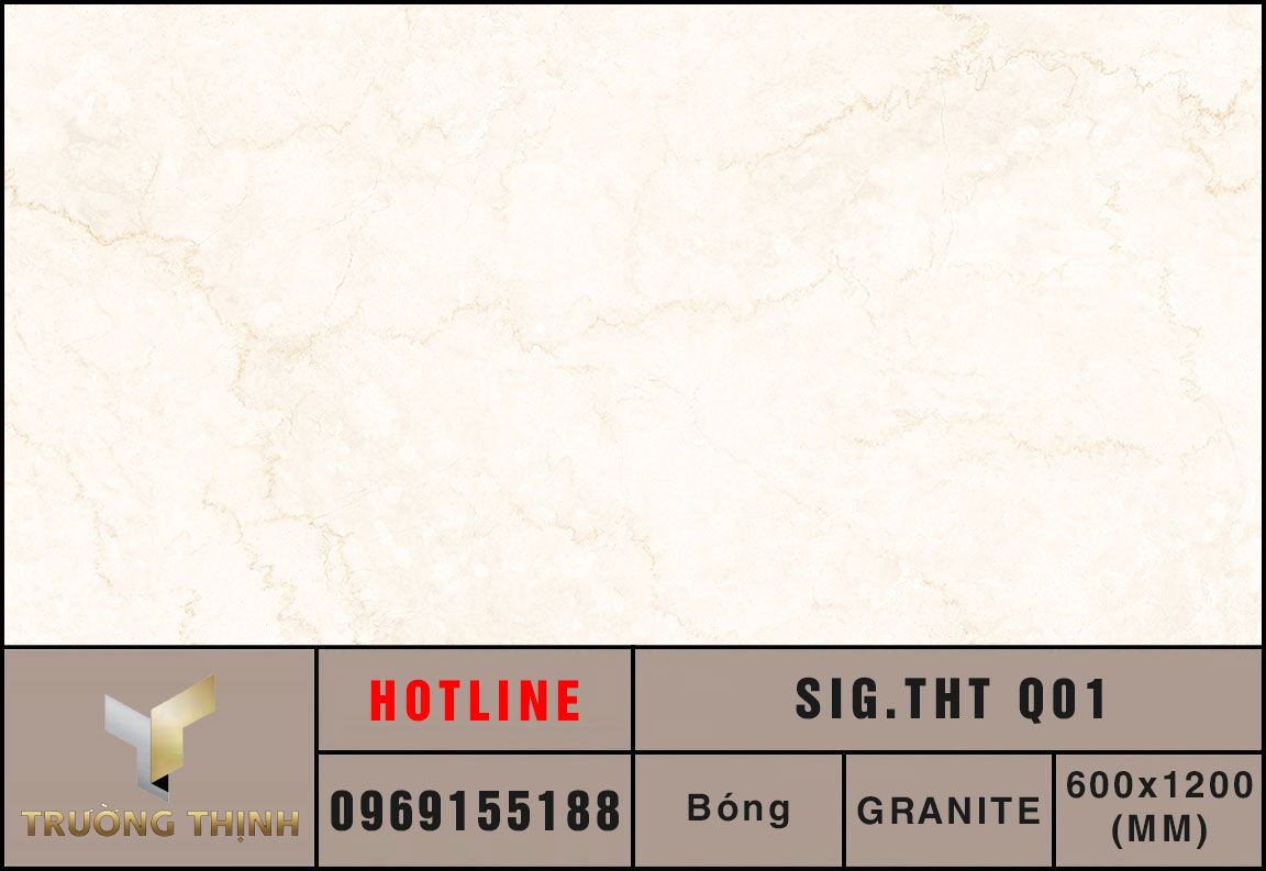 Ảnh MAP Gạch Eurotile Thanh Tâm SIG.THT Q01