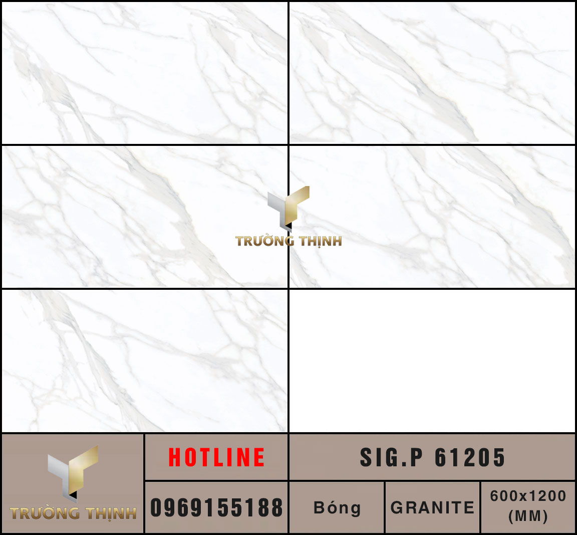 Ảnh MAP gạch ốp lát 600x1200 Eurotile Thụy Phong SIG.P61205