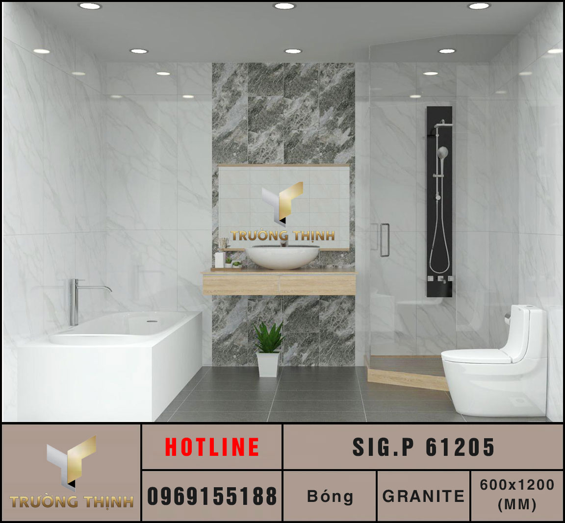 Ảnh mẫu gạch ốp lát 600x1200 Eurotile Thụy Phong SIG.P61205