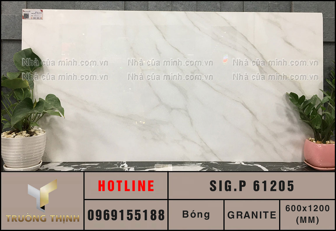 Gạch ốp lát 600x1200 Eurotile Thụy Phong SIG.P61205 giá ưu đãi
