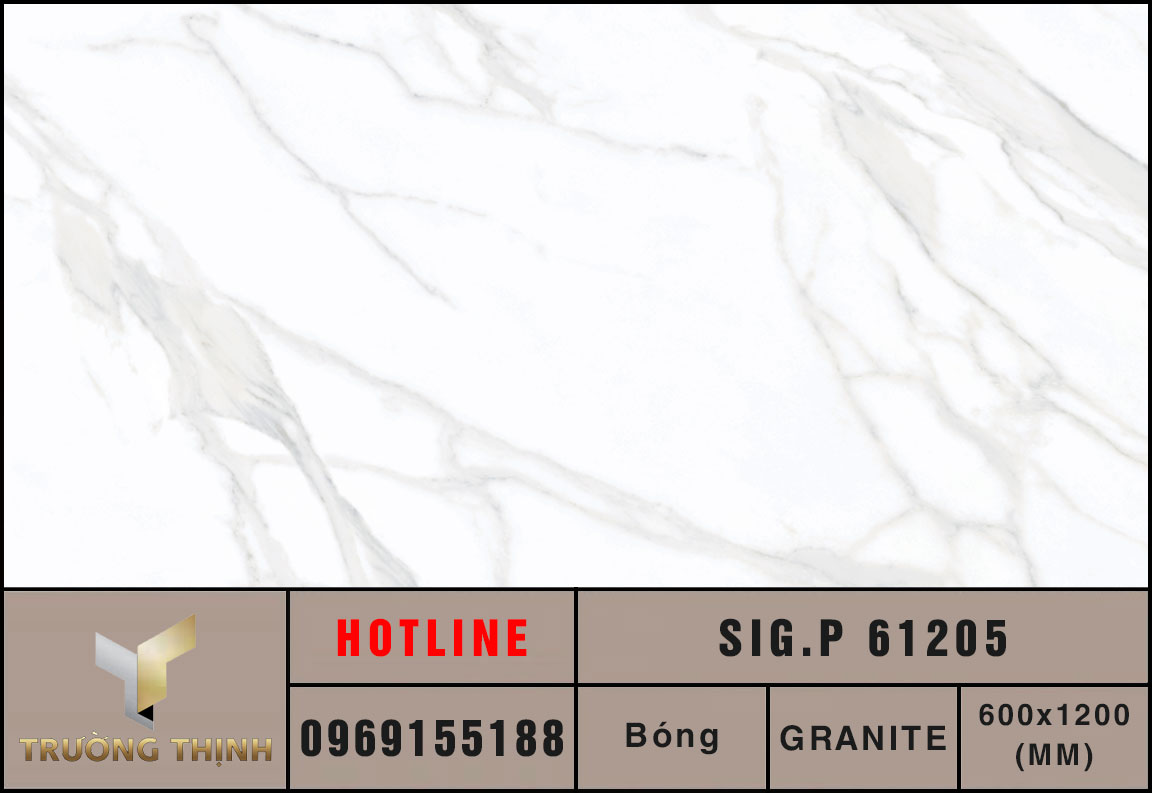 Ảnh MAP gạch ốp lát 600x1200 Eurotile Thụy Phong SIG.P61205