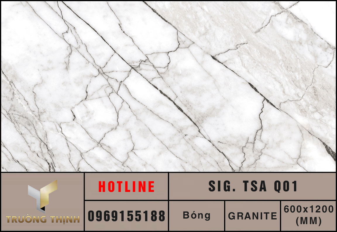 Ảnh MAP gạch ốp lát 600x1200 Eurotile Tuyết San SIG. TSA Q01