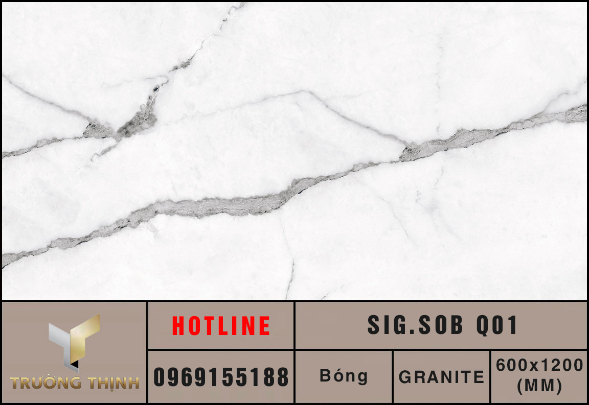 Ảnh MAP gạch ốp lát 600x1200 Eurotile Sông Băng SIG.SOB Q01