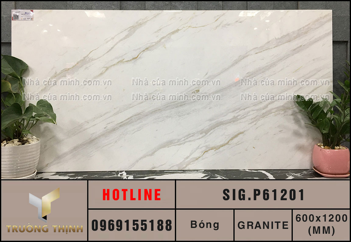 Gạch ốp tường 600x1200 Eurotile Hải Phong SIG.P61201 vân đá