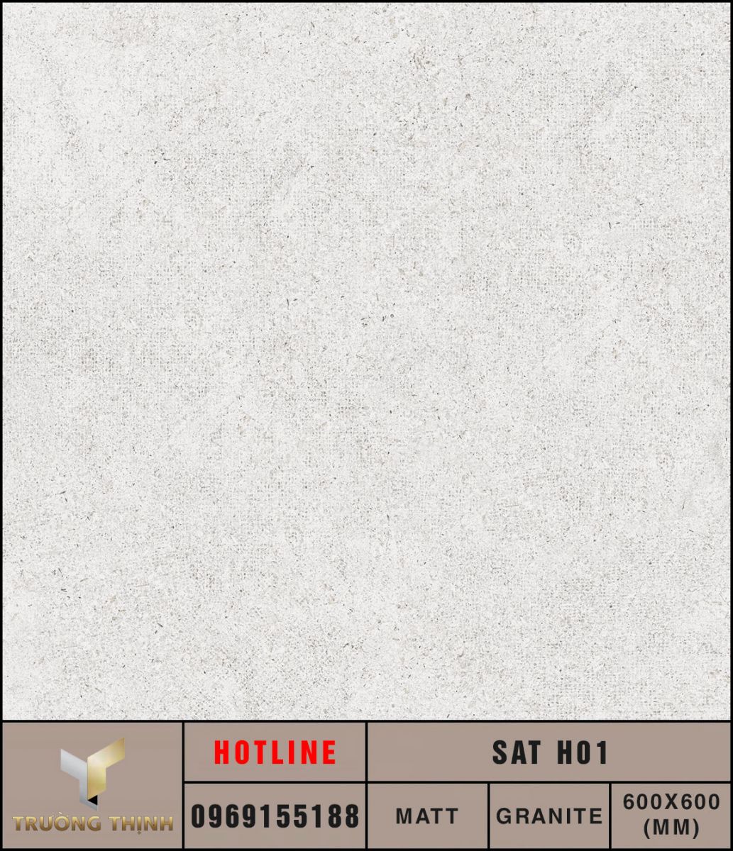 Ảnh MAP gạch lát nền 600x600 Eurotile Sa Thạch SAT H01