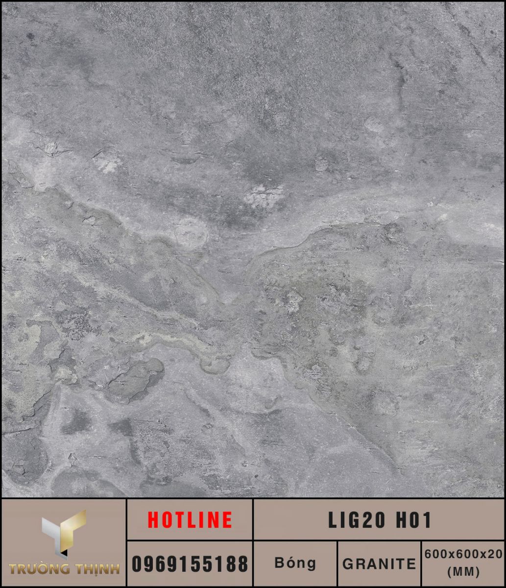 Gạch granite dày 2 phân Eurotile Liguria LIG20 H01 cao cấp