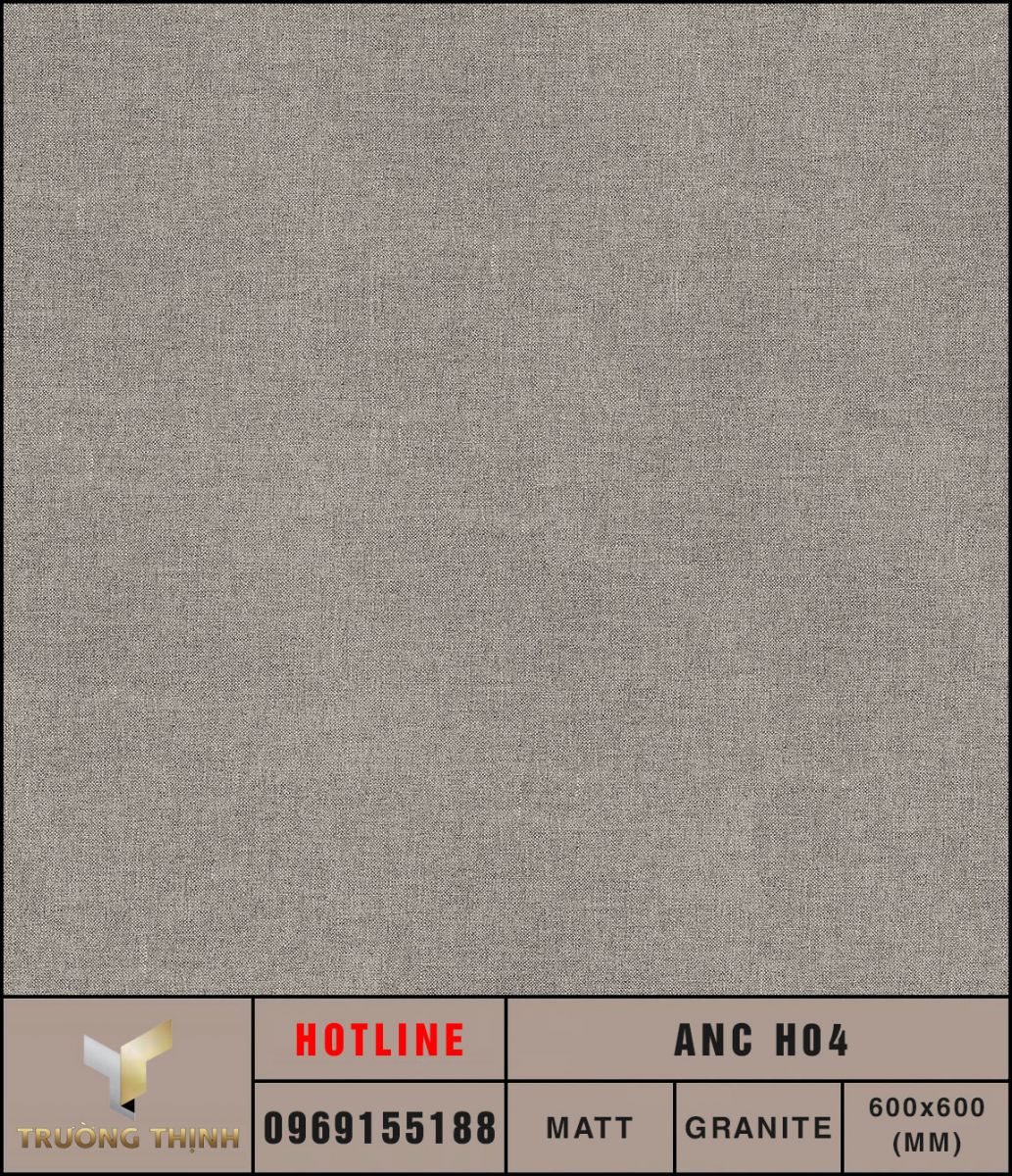 Ảnh MAP gạch lát nền 600x600 Eurotile An Cư ANC H04