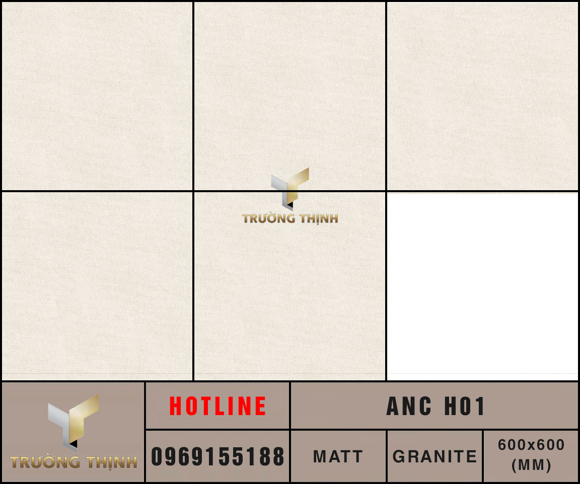 Gạch lát nền 600x600 Eurotile An Cư ANC H01