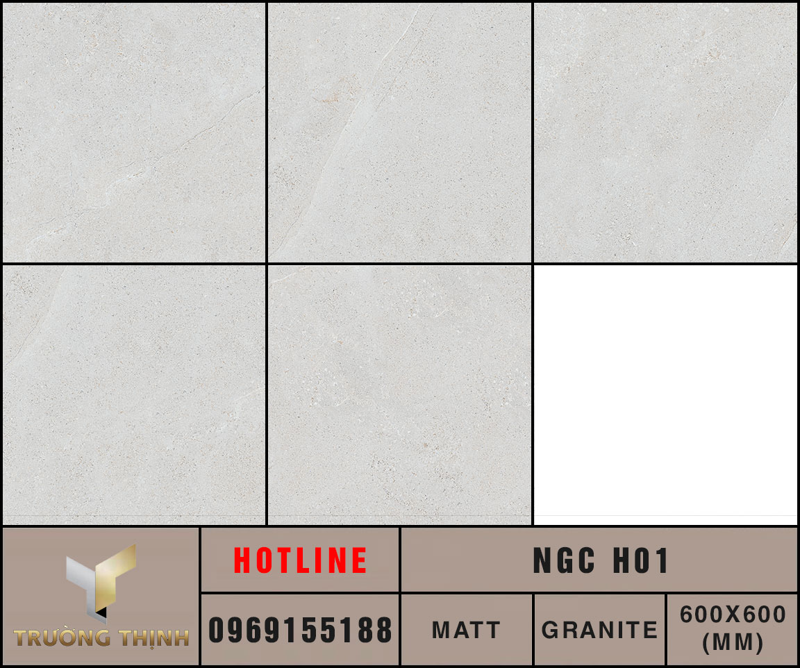 Ảnh MAP 5 Face gạch ốp lát 600x600 Eurotile Nguyệt Cát NGC H01