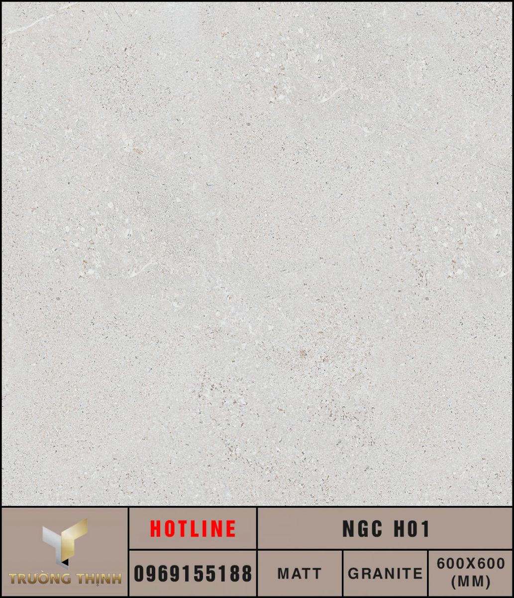 Ảnh MAP Face gạch ốp lát 600x600 Eurotile Nguyệt Cát NGC H01