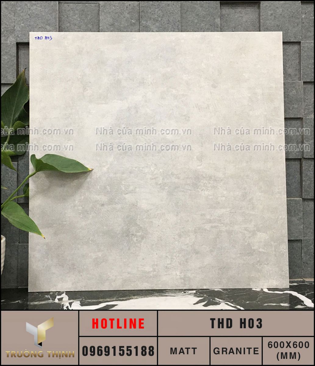 Ảnh thực tế gạch ốp lát 300x600 Eurotile THD H02.