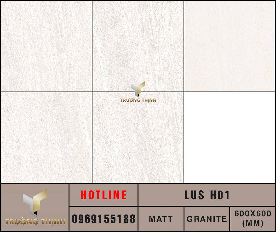 Ảnh MAP 5 Face gạch lát nền 600x600 Eurotile Lưu Sa LUS H01