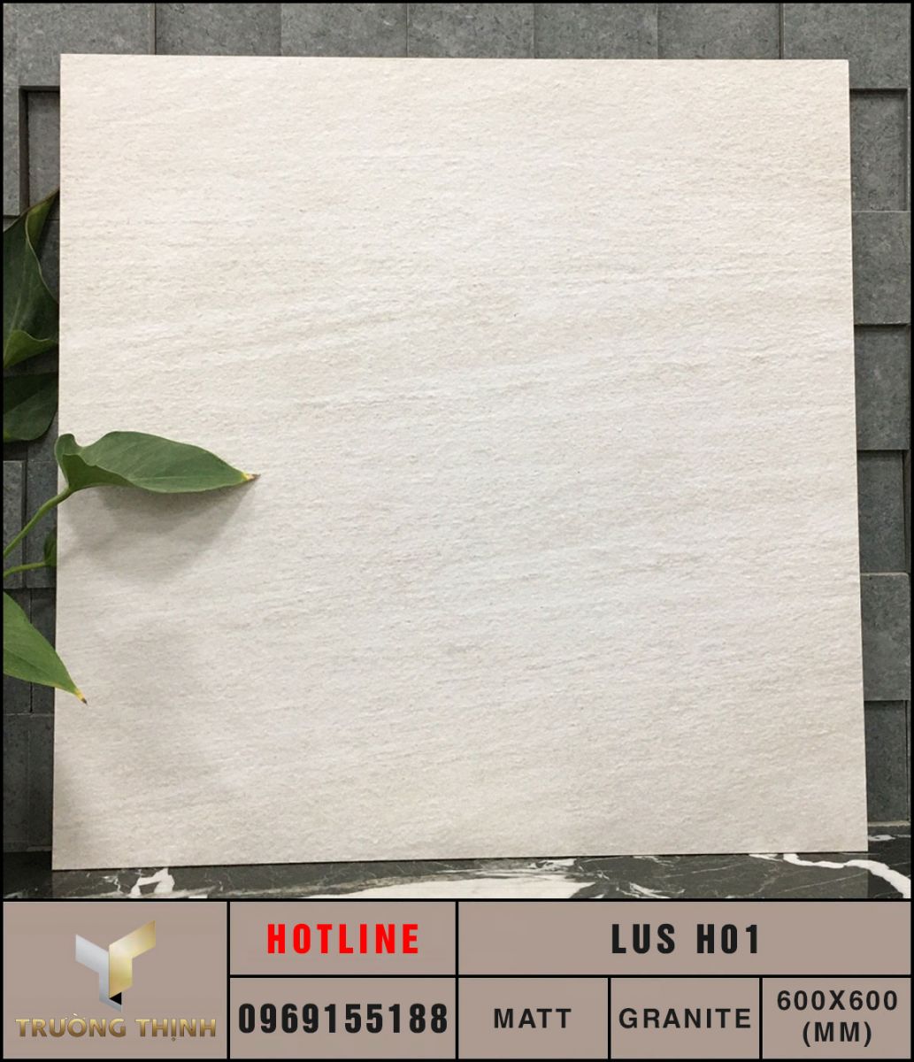 Ảnh thực tế gạch ốp lát 600x600 Eurotile Lưu Sa LUS H01