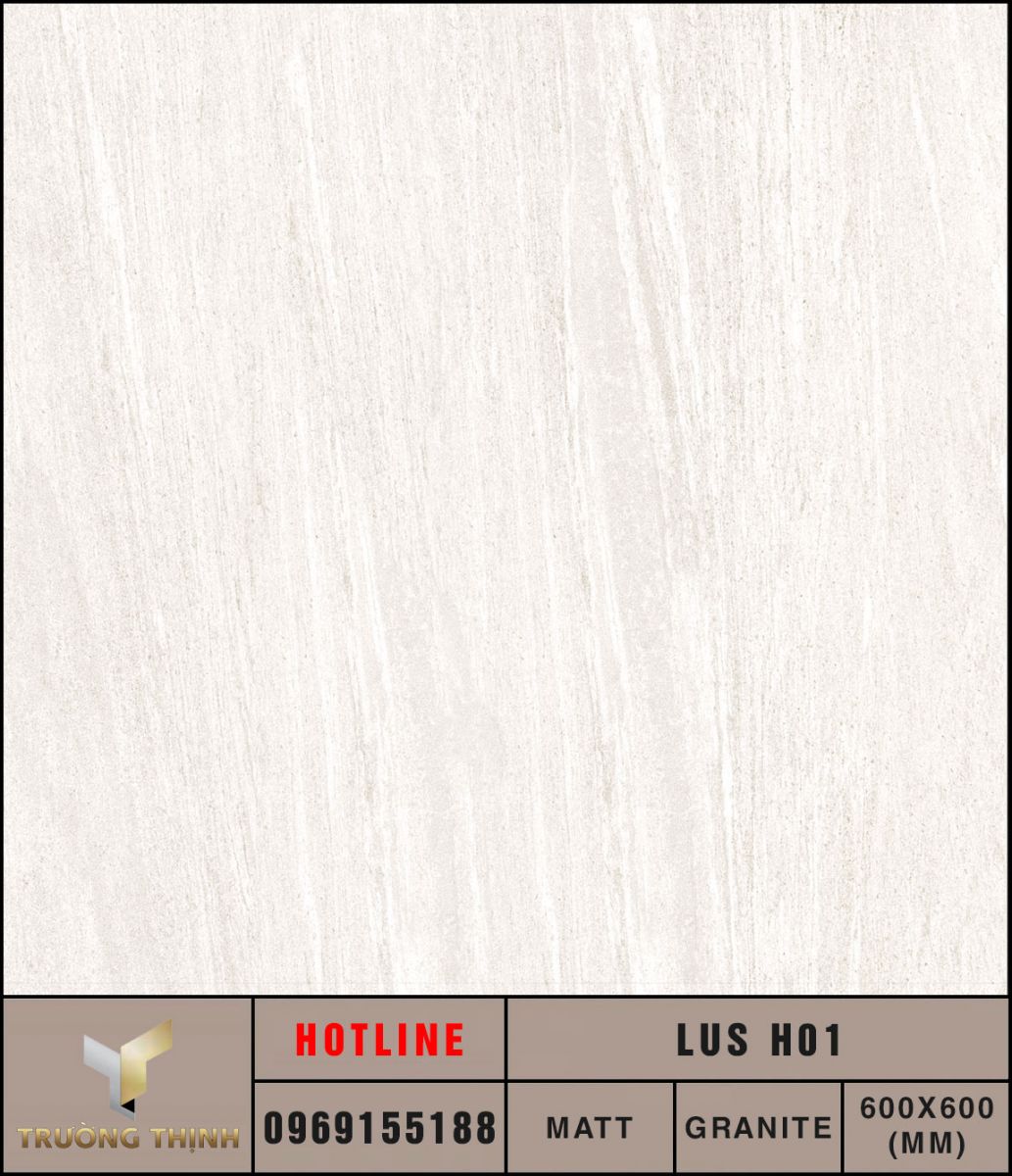 Ảnh MAP Face gạch lát nền 600x600 Eurotile Lưu Sa LUS H01