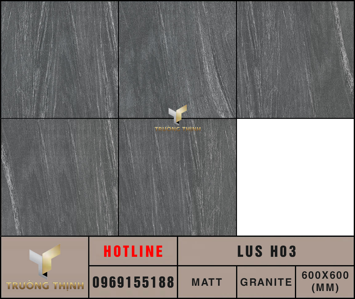 Ảnh MAP Face gạch lát nền 600x600 Eurotile Lưu Sa LUS H03