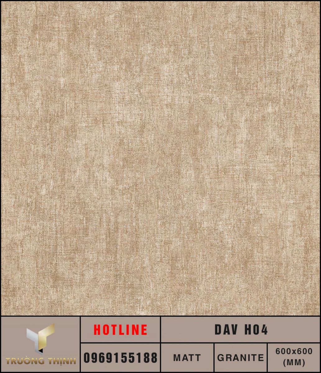 Ảnh MAP gạch lát nền 600x600 Eurotile Đan Vi DAV H04