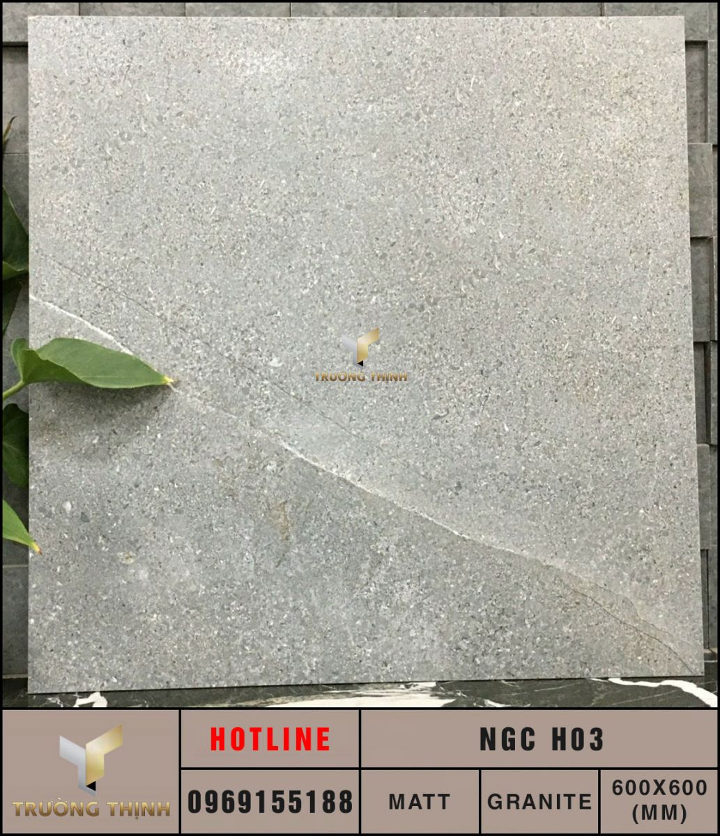 Gạch vân đá 600x600 Eurotile Nguyệt Cát NGC H03 cao cấp