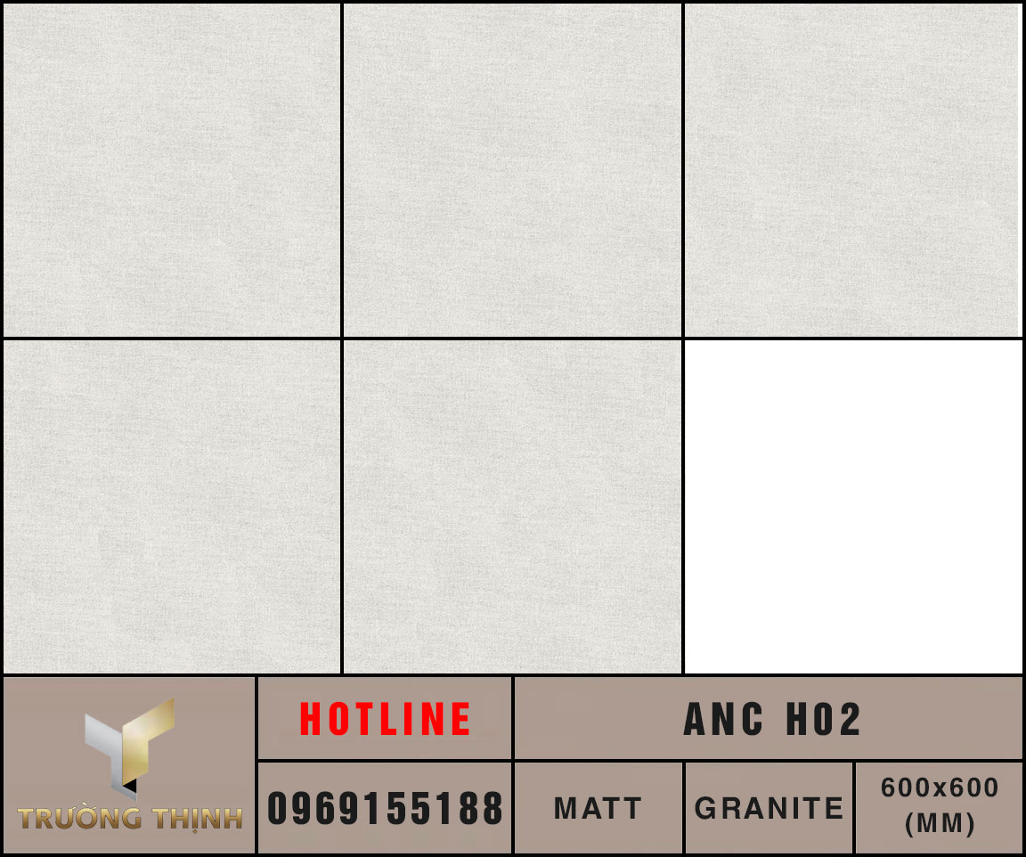 Gạch lát nền 600x600 Eurotile An Cư ANC H02
