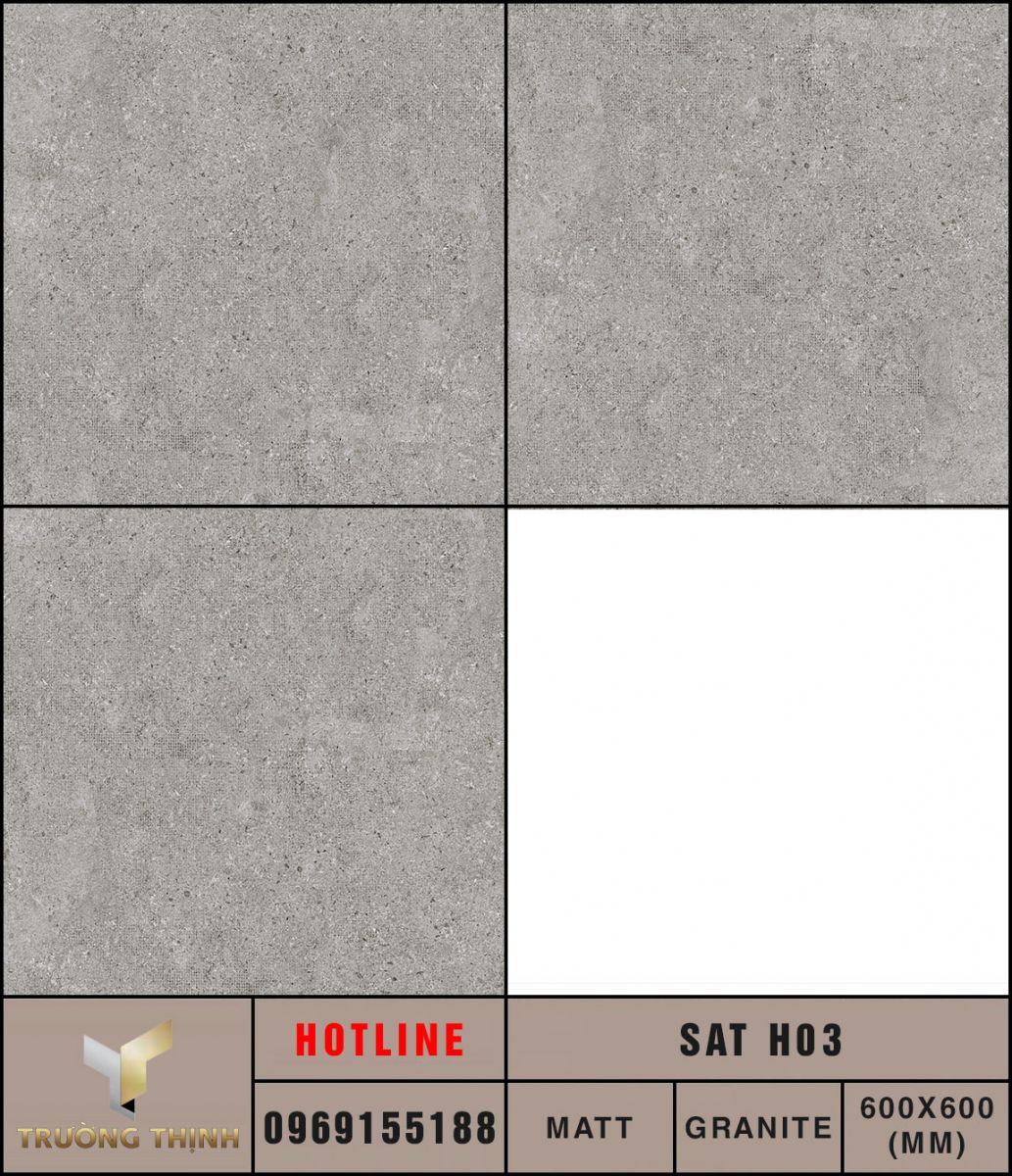 Ảnh MAP gạch lát nền 600x600 Eurotile Sa Thạch SAT H03