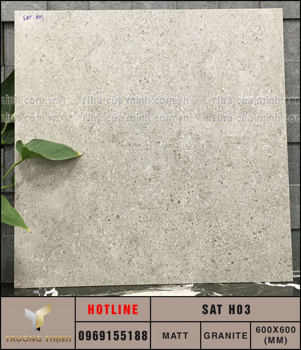 Ảnh map gạch lát nền 600x600 Eurotile SAT H03