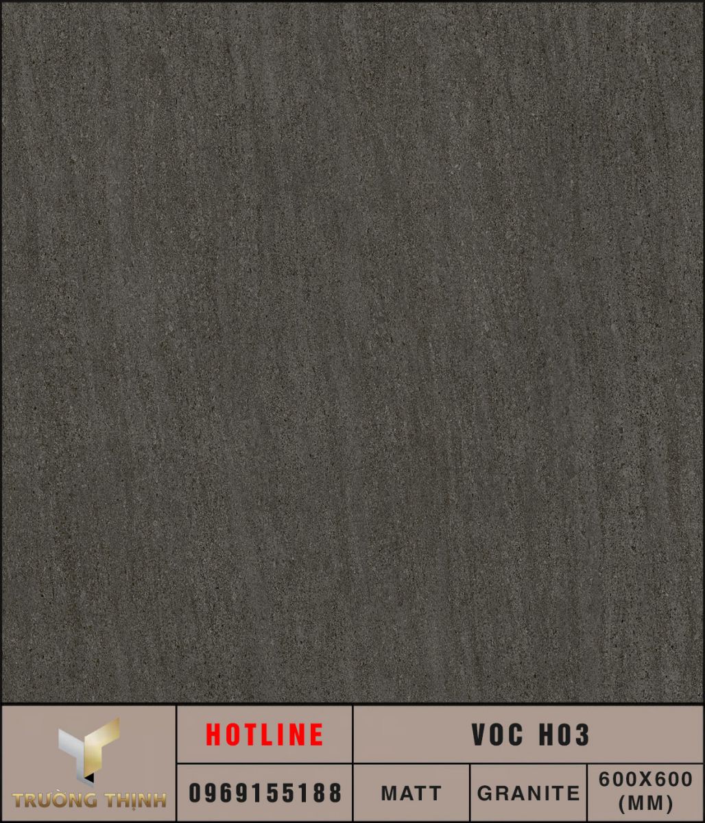 Ảnh MAP gạch lát nền 600x600 Eurotile VOC H03