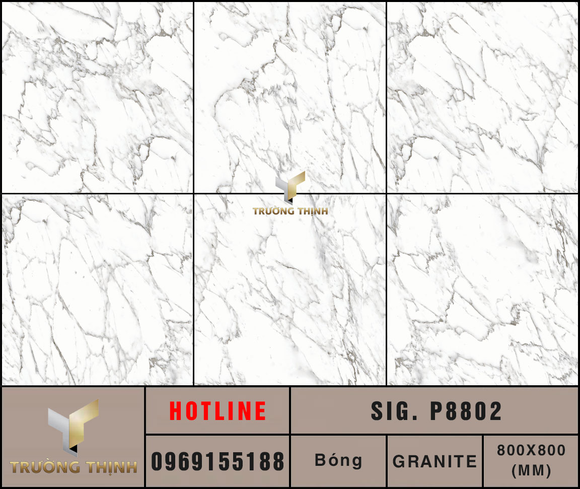 Ảnh MAP gạch lát nền 800x800 Eurotile Nguyệt Phong SIG. P8802