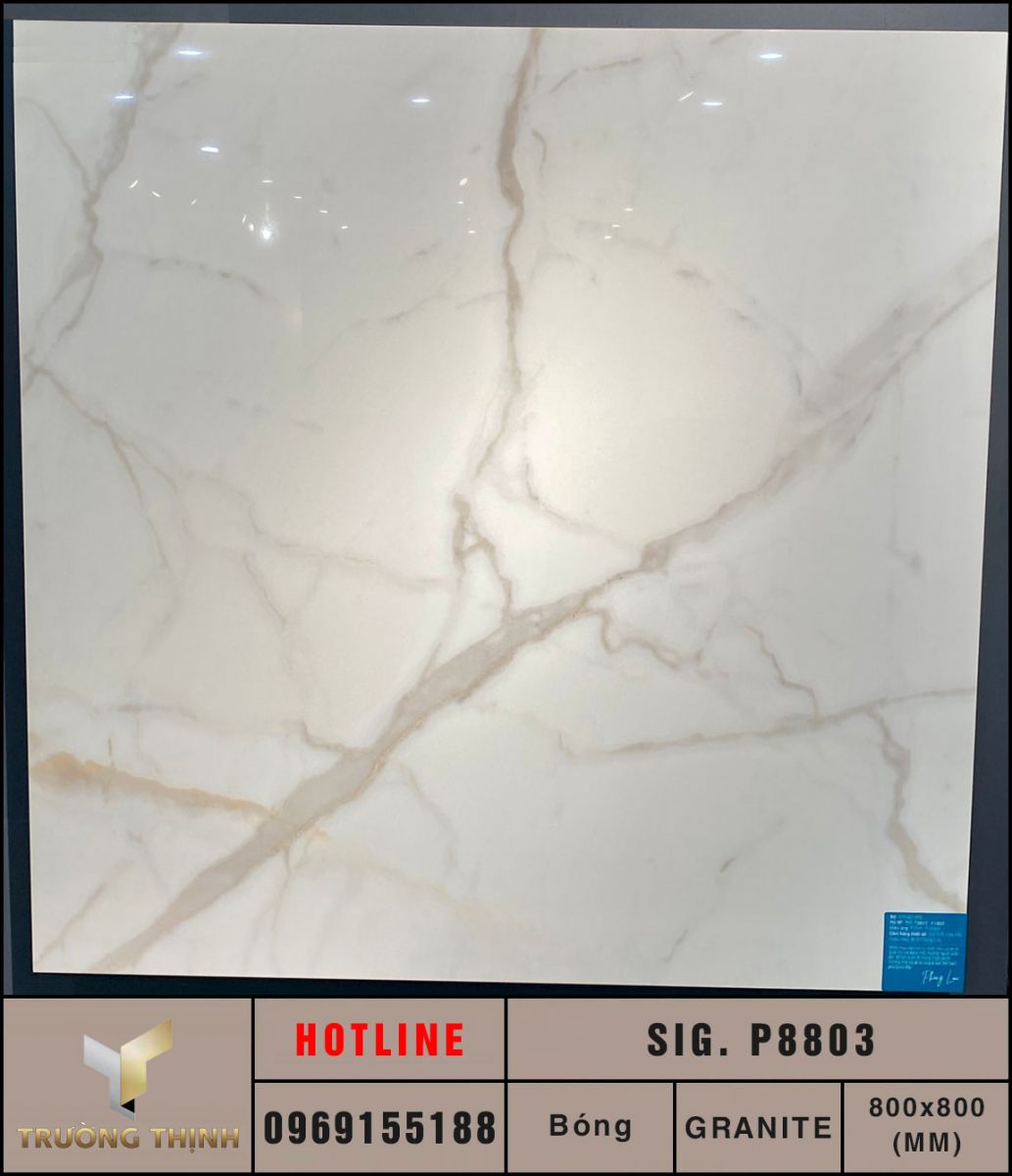 Gạch granite xương trắng Eurotile Phong Lưu SIG.P8803 màu trắng