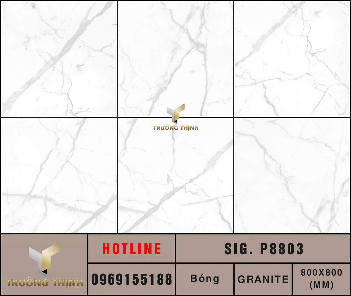 Ảnh MAP gạch lát nền 800x800 Eurotile Phong Lưu SIG.P8803