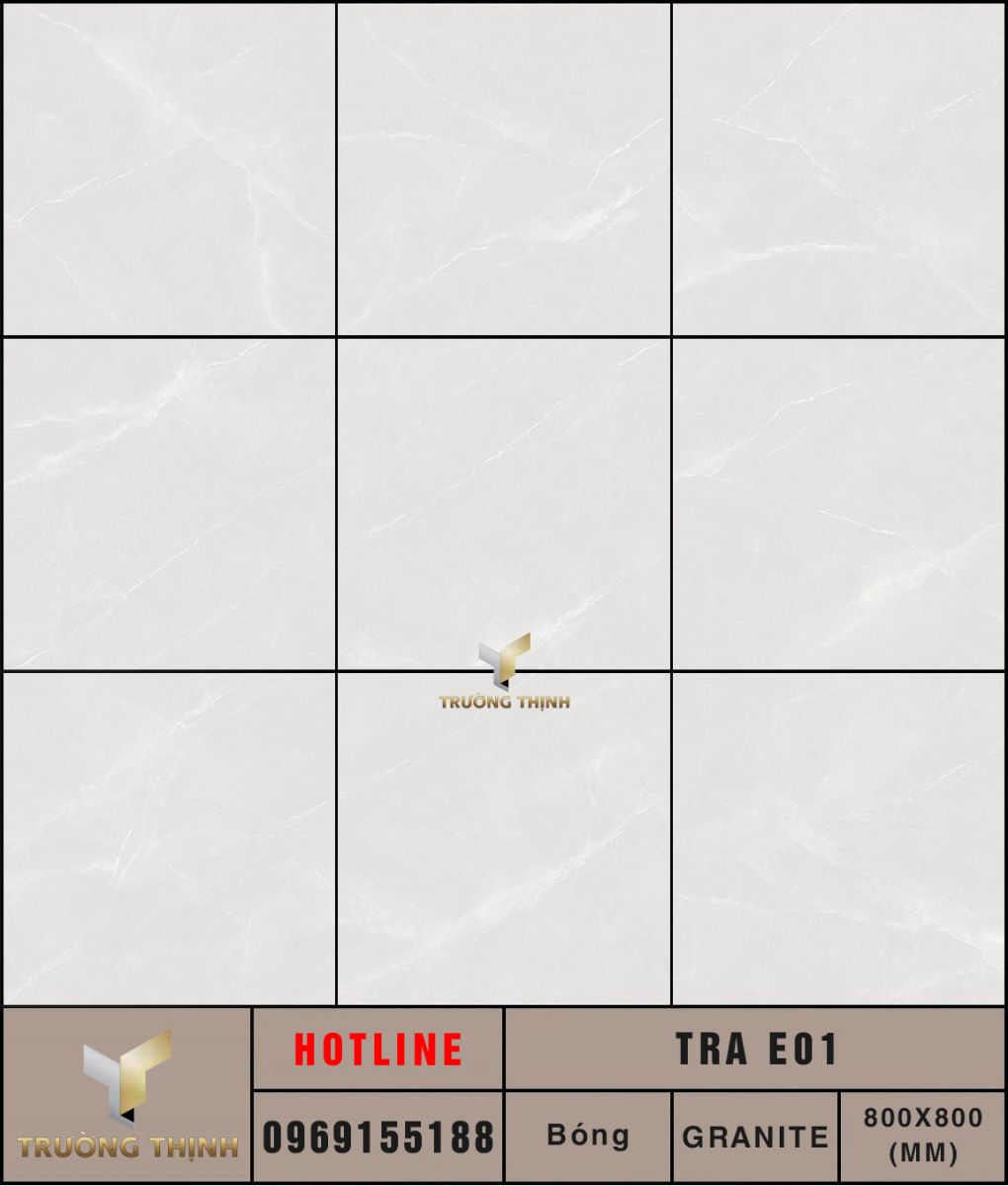 Ảnh MAP gạch lát nền 800x800 Eurotile Tràng An TRA E01