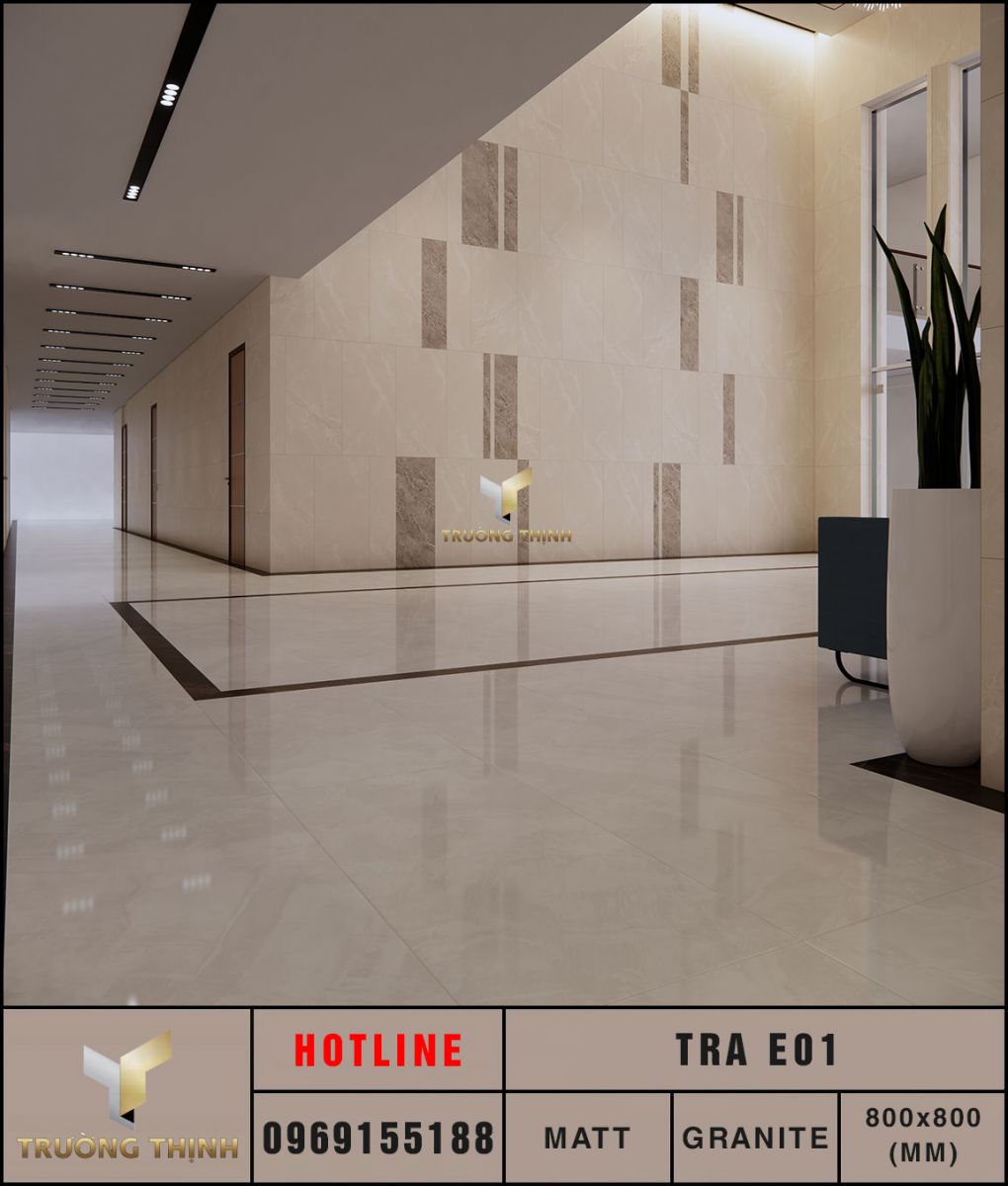 Ảnh mẫu gạch lát nền 800x800 Eurotile Tràng An TRA E01