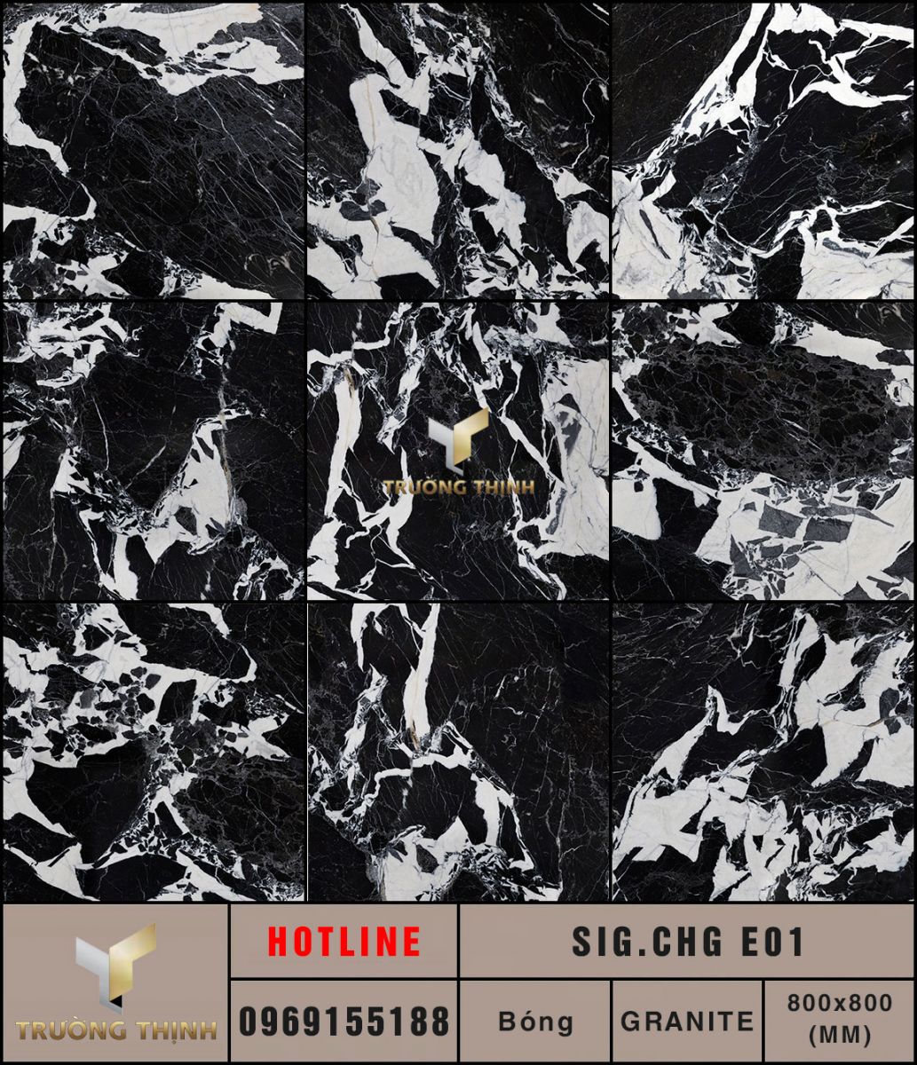 Ảnh MAP gạch lát nền 800x800 Eurotile Chi Giao SIG.CHG-E01