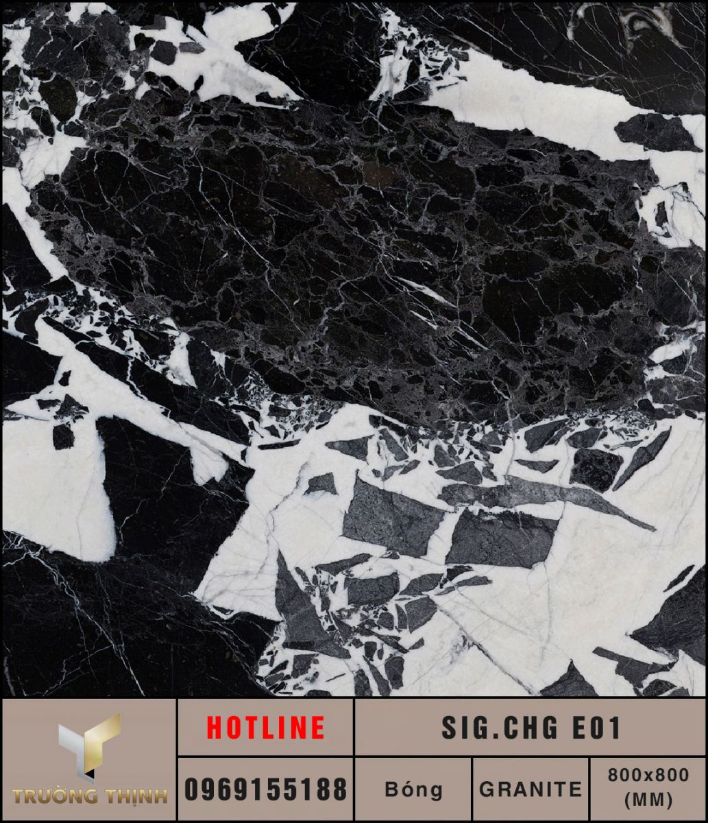 Ảnh MAP gạch lát nền 800x800 Eurotile Chi Giao SIG.CHG-E01