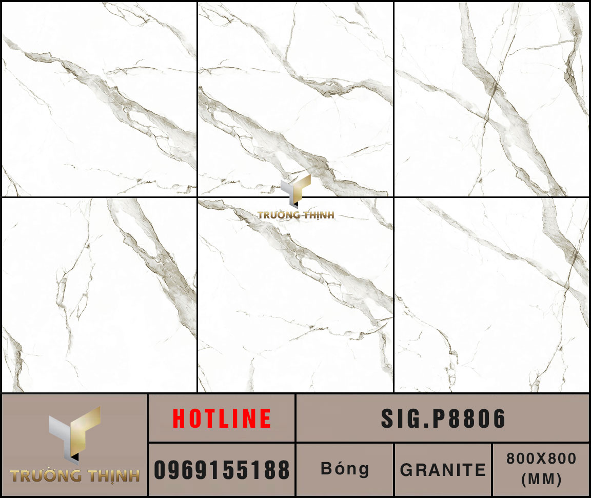 Ảnh MAP gạch lát nền 800x800 Eurotile Chiêu Phong SIG.P8806