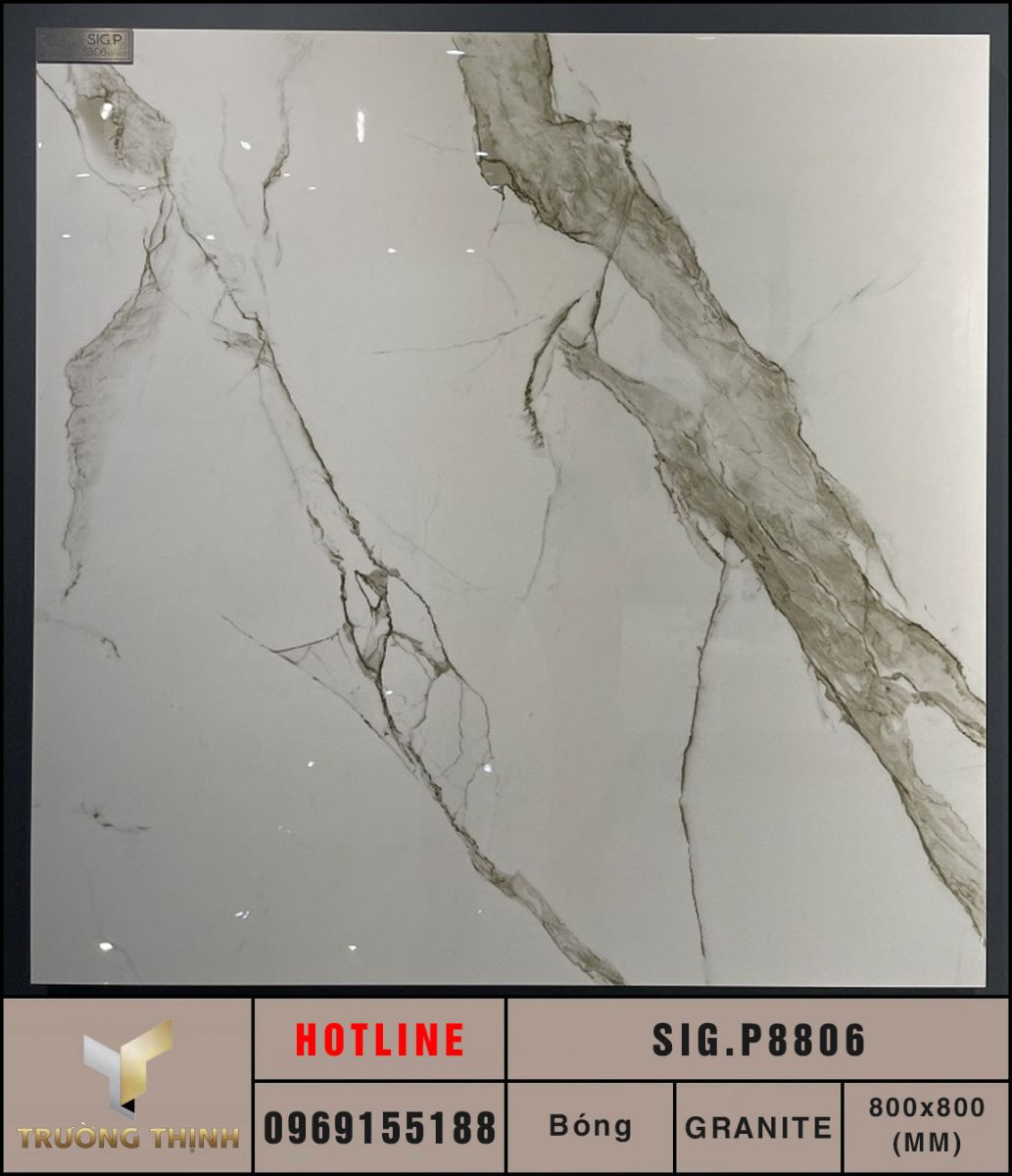 Gạch lát nền granite 800x800 Eurotile Chiêu Phong SIG.P8806 giá tốt