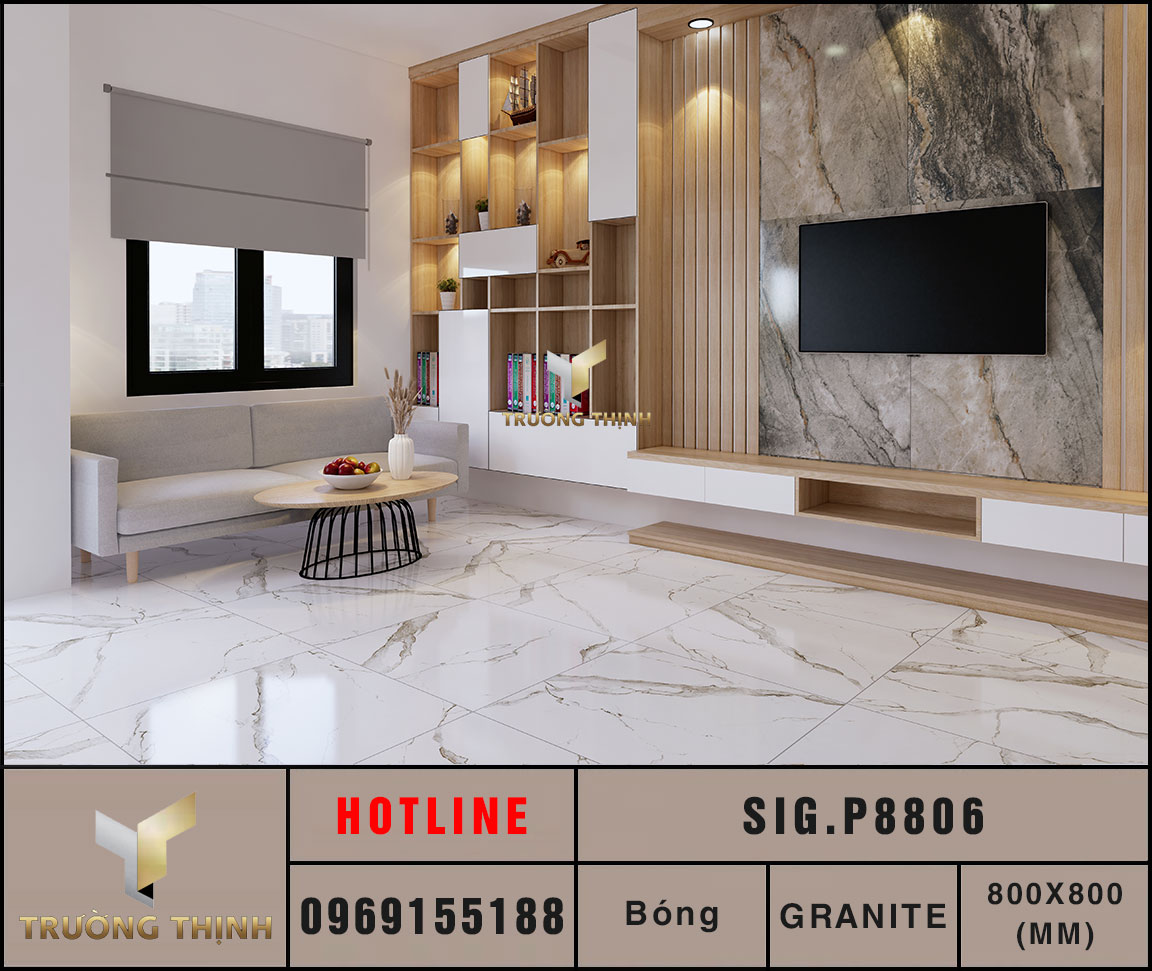 Ảnh mẫu gạch lát nền 800x800 Eurotile Chiêu Phong SIG.P8806