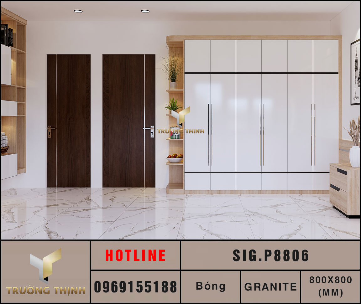 Ảnh mẫu gạch lát nền 800x800 Eurotile Chiêu Phong SIG.P8806