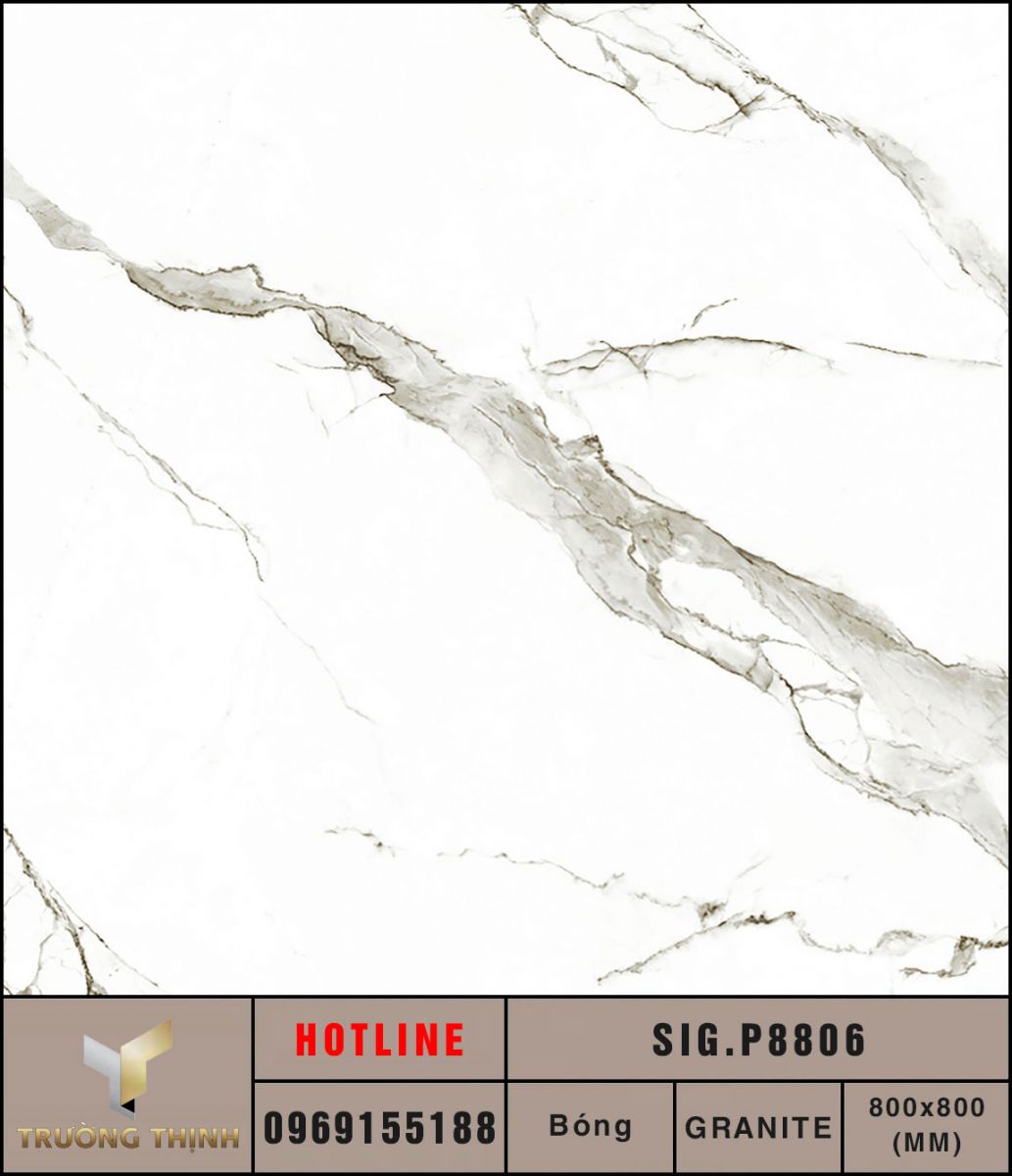 Ảnh MAP gạch lát nền 800x800 Eurotile Chiêu Phong SIG.P8806