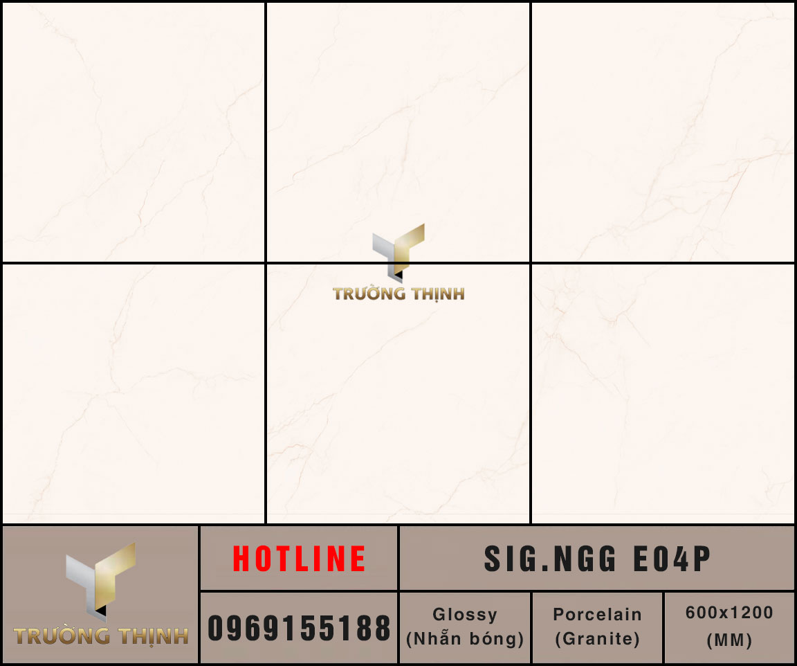 Gạch lát nền 800x800 Eurotile Ngọc Giao SIG.NGG E04P ảnh MAP
