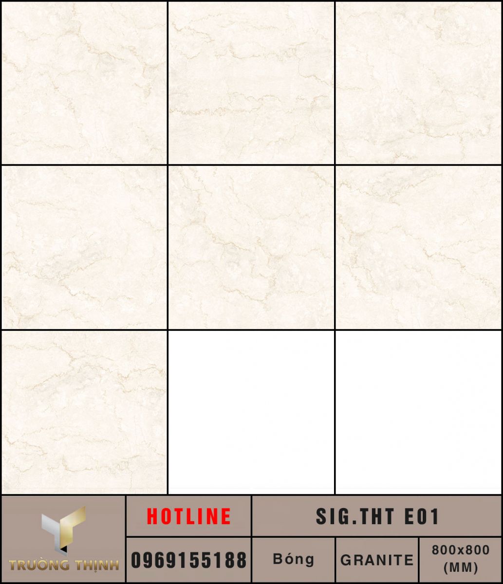 Ảnh MAP gạch lát nền 800x800 Eurotile Thanh Tâm SIG.THT E01