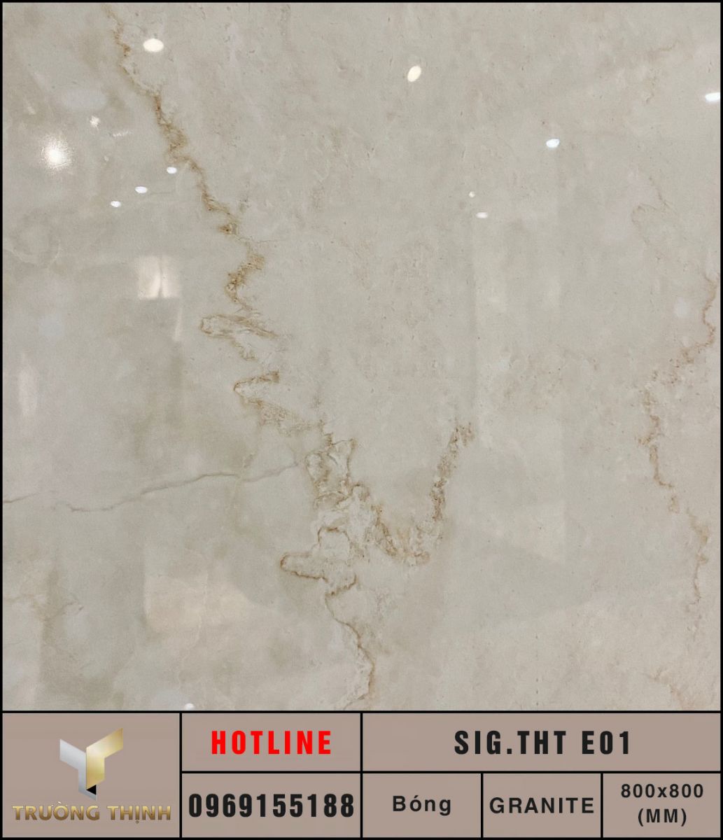 Gạch lát nền granite 800x800 Eurotile Thanh Tâm SIG.THT E01 cao cấp
