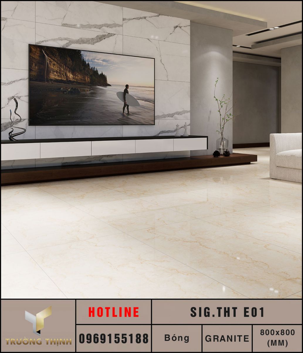 Ảnh mẫu gạch lát nền 800x800 Eurotile Thanh Tâm SIG.THT E01