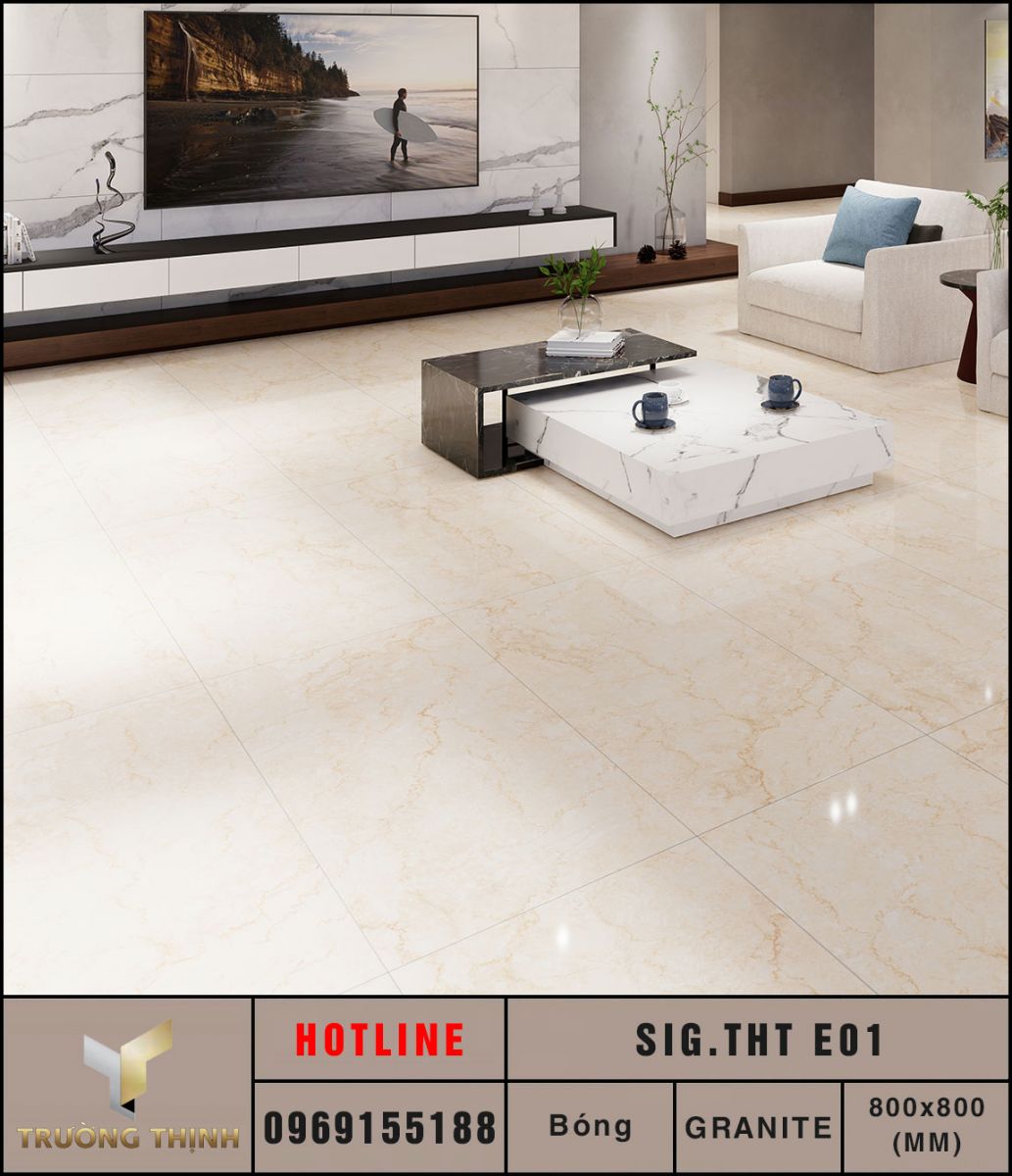 Ảnh mẫu gạch lát nền 800x800 Eurotile Thanh Tâm SIG.THT E01