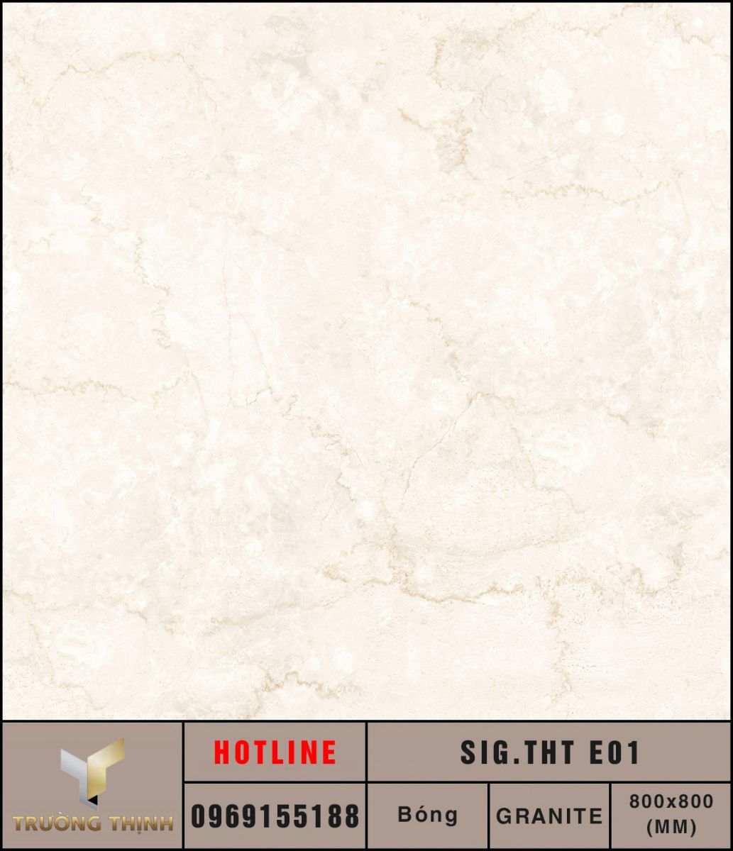 Ảnh MAP gạch lát nền 800x800 Eurotile Thanh Tâm SIG.THT E01