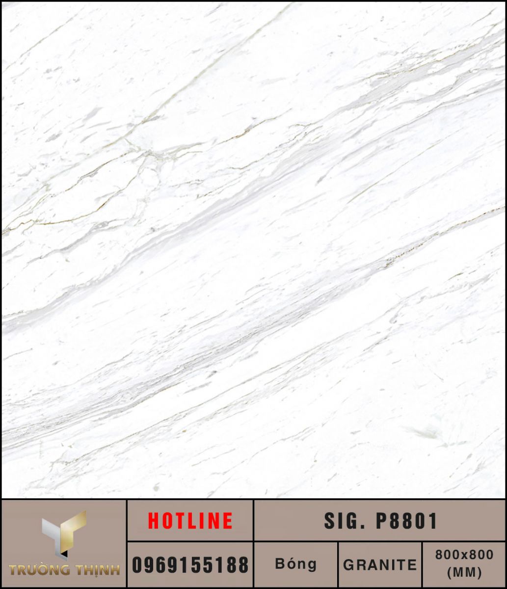 Ảnh MAP Gạch lát nền 800x800 Eurotile Hải Phong SIG.P8801