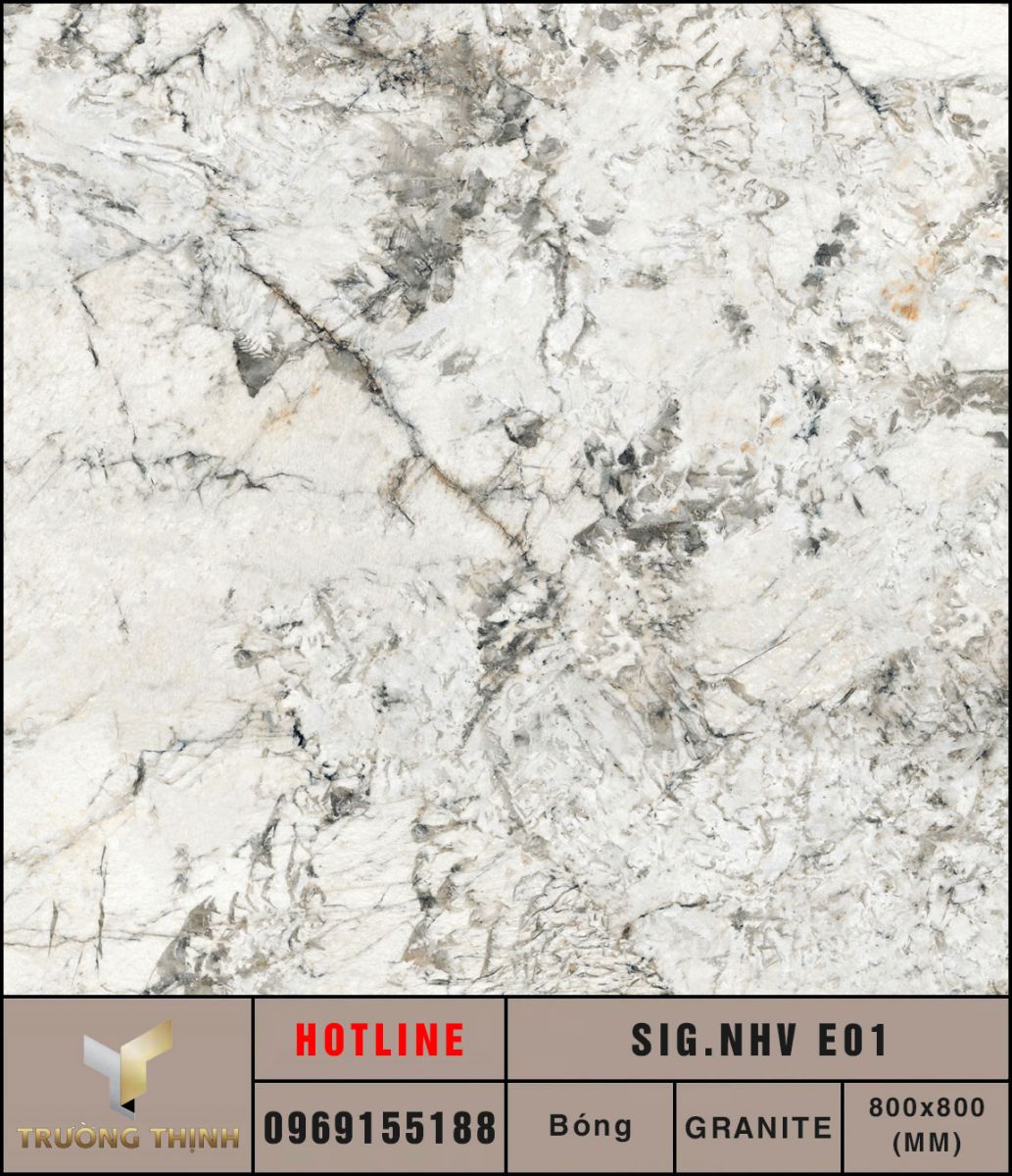 Ảnh MAP gạch lát nền 800x800 Eurotile Nhã Vi SIG.NHV E01