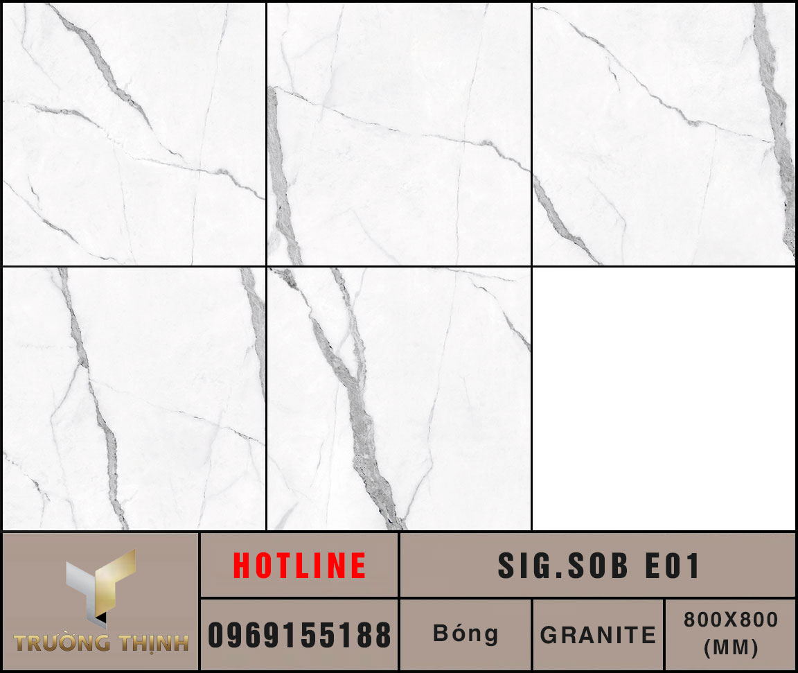 Ảnh MAP gạch lát nền 600x1200 Eurotile Sông Băng SIG.SOB E01