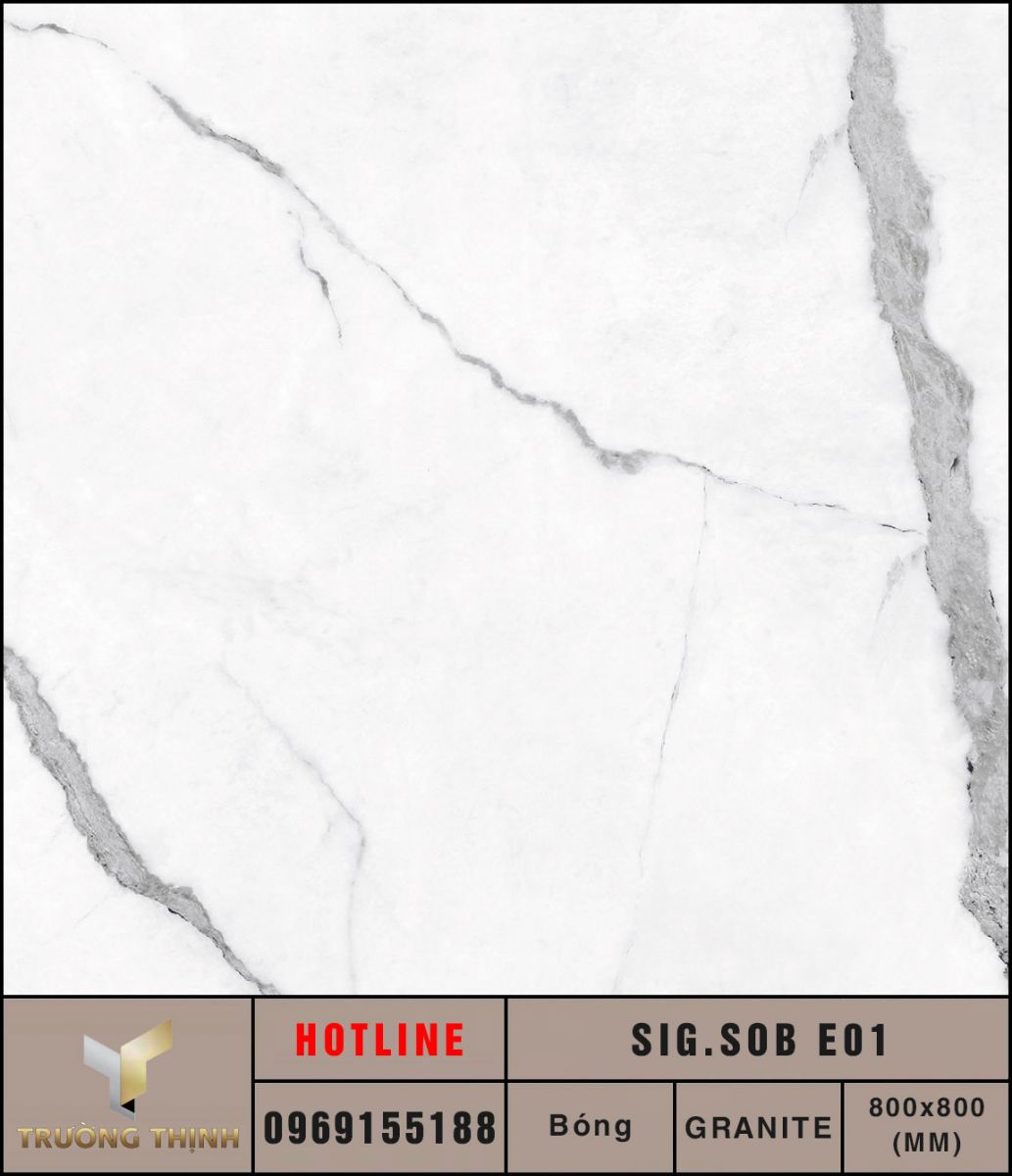 Ảnh MAP gạch lát nền 600x1200 Eurotile Sông Băng SIG.SOB E01