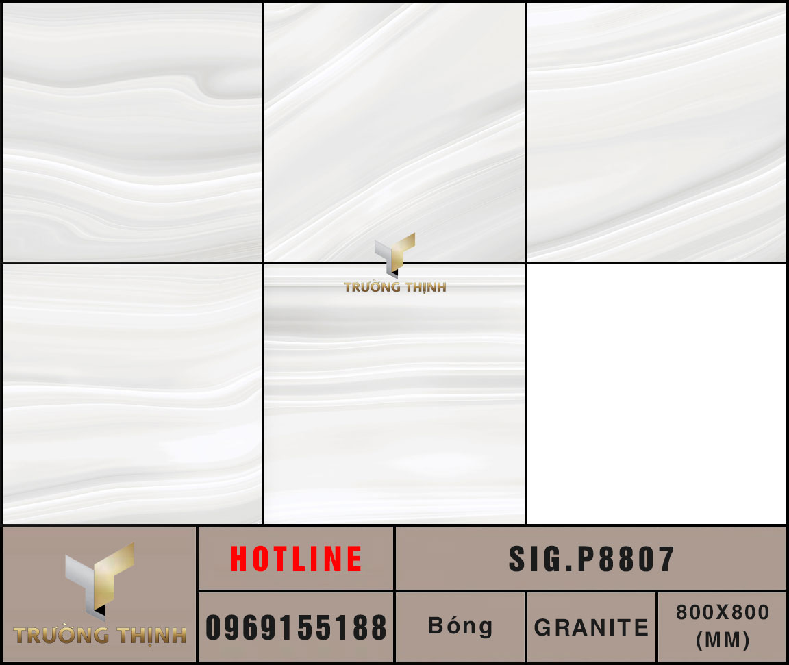 Ảnh MAP gạch lát nền 800x800 Eurotile Du Phong SIG.P8807