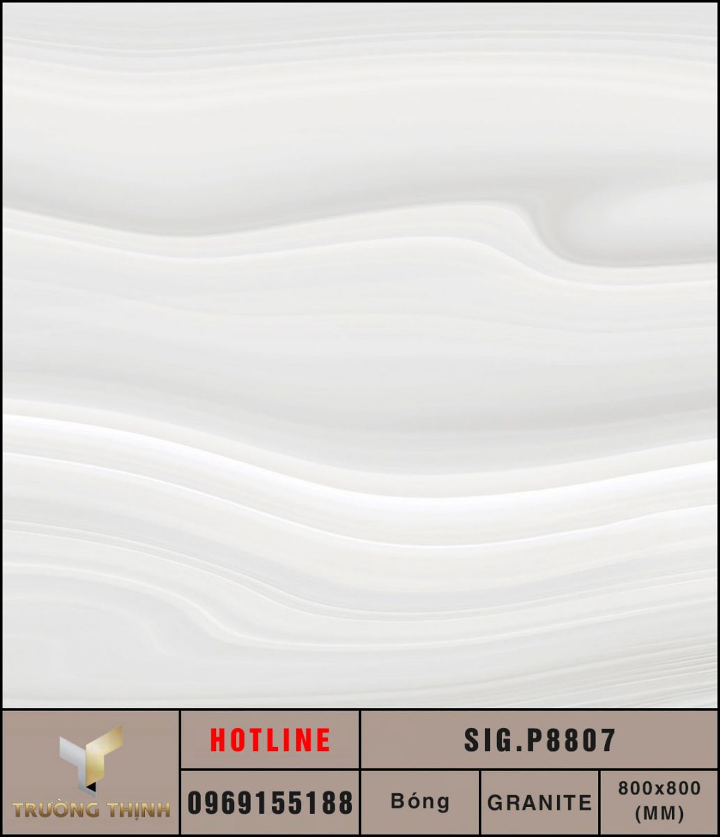 Ảnh MAP gạch lát nền 800x800 Eurotile Du Phong SIG.P8807