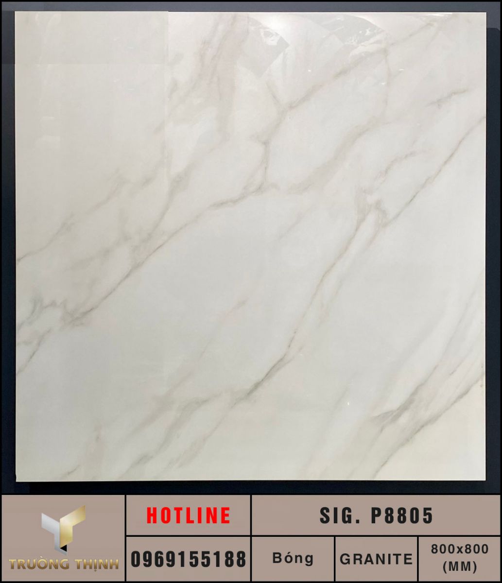 Gạch lát nền 800x800 Eurotile Thụy Phong SIG.P8805 cao cấp